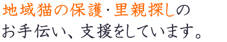 地域猫の保護・里親探しのお手伝い、支援をしています